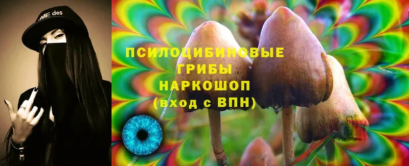 Галлюциногенные грибы Cubensis  Гремячинск 